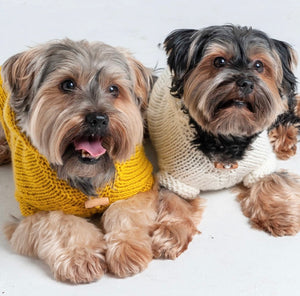 Coats & Jumpers