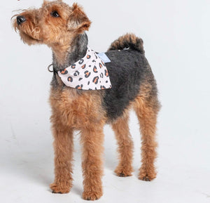 Bandanas & Bow Ties