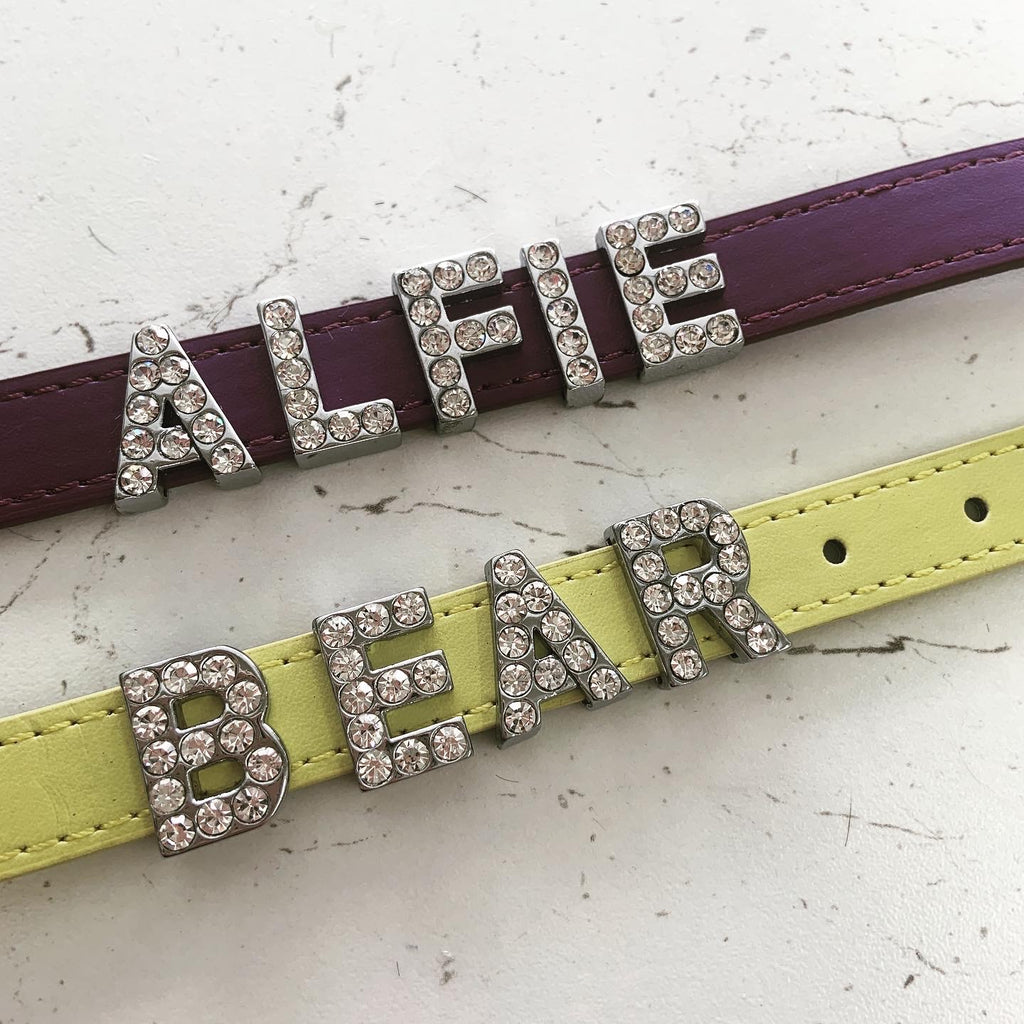 Urban Pup Personalised Collar