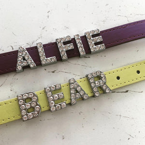 Urban Pup Personalised Collar