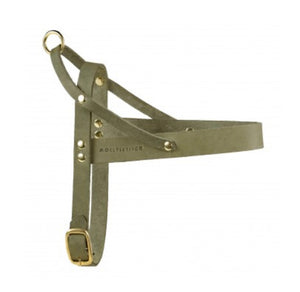 Butter Leather Dog Harness Olive Tree Green