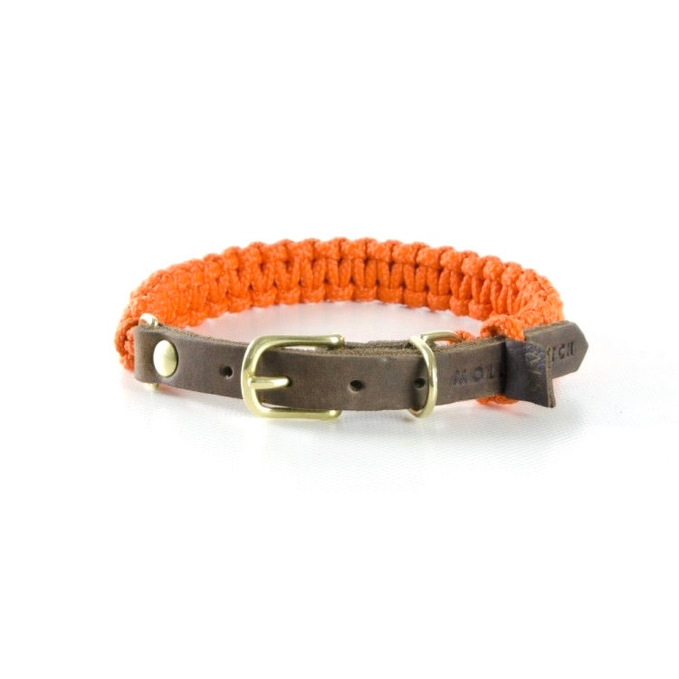 Touch Of Leather Collar Pumpkin