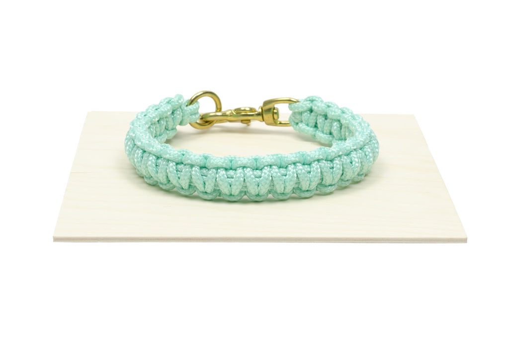 Dog Collar In Aqua