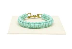 Dog Collar In Aqua