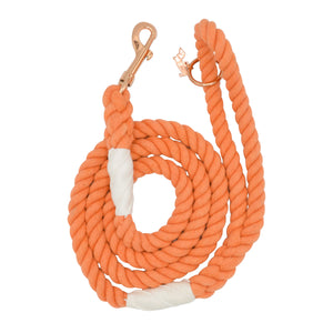 Clementine Cotton Rope Dog Lead