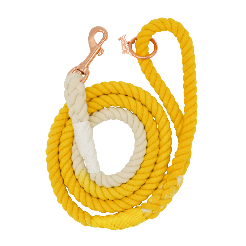 Lemon Drop Ombre Cotton Dog Rope Lead